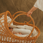 Mooshess Morgan Bassinet