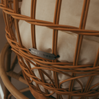 Mooshess Morgan Bassinet