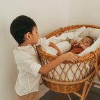 Mooshess Hillary Bassinet