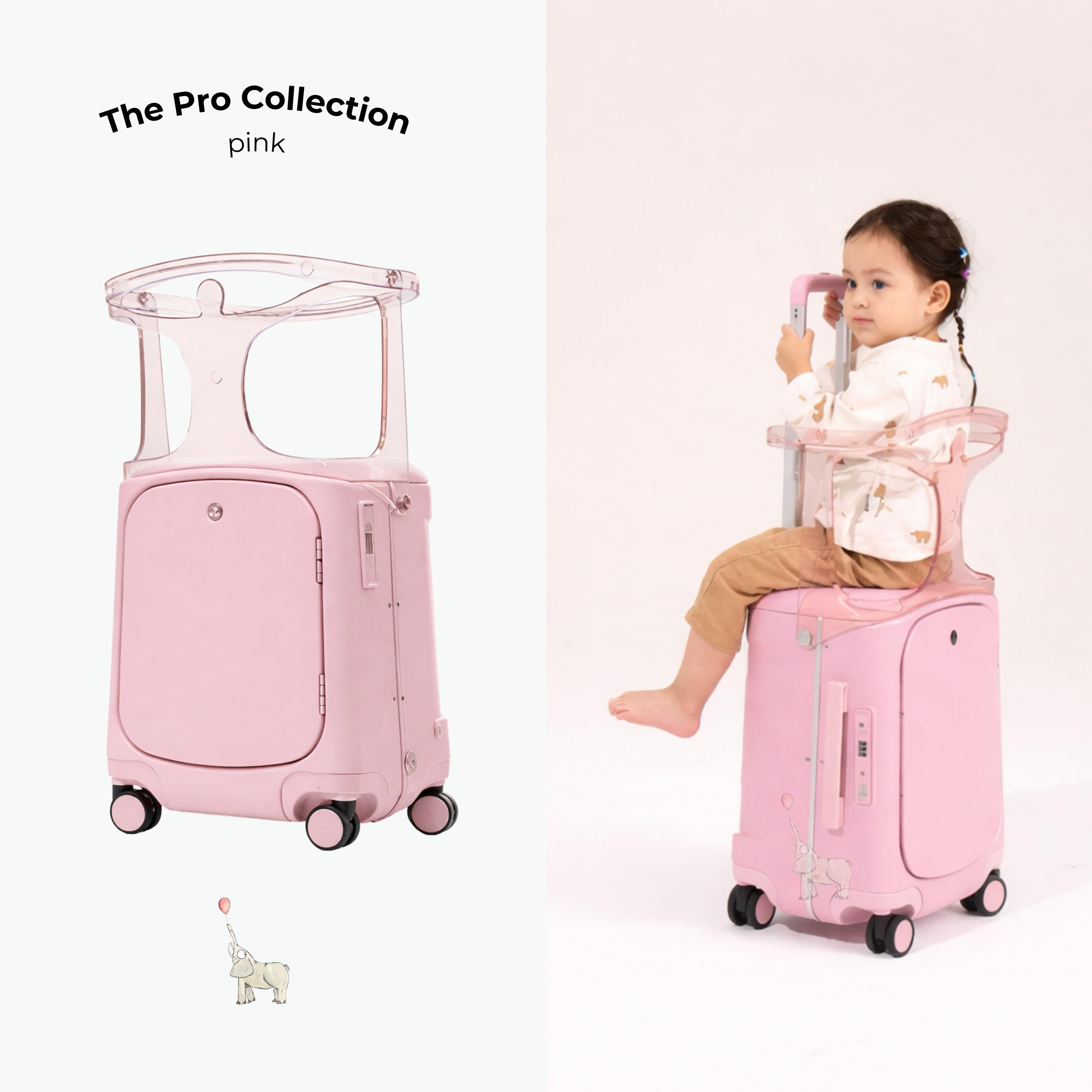 Cabin Size Luggage Multicarry Pro Version