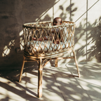 Mooshess Maches Bassinet