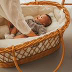 Mooshess Hillary Bassinet