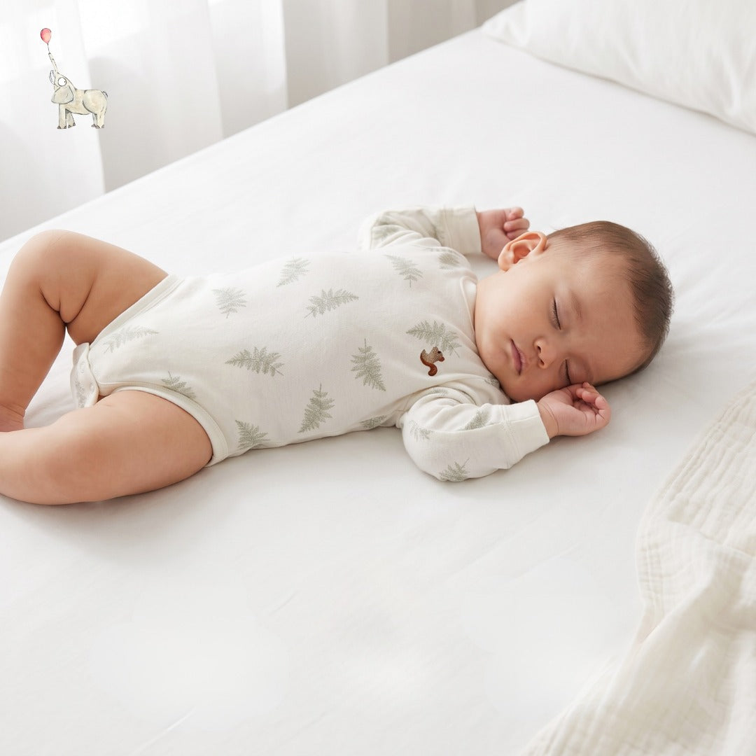Kekeyo Playsuit Dacshy Dreams |6M 9M 12M