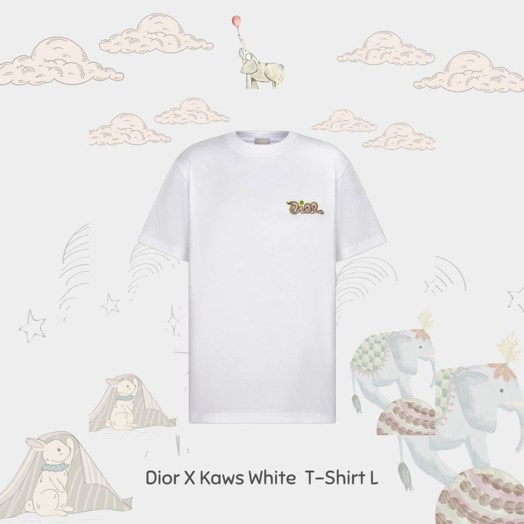 Dior X KAWS White T-Shirt L ( Non Registered)