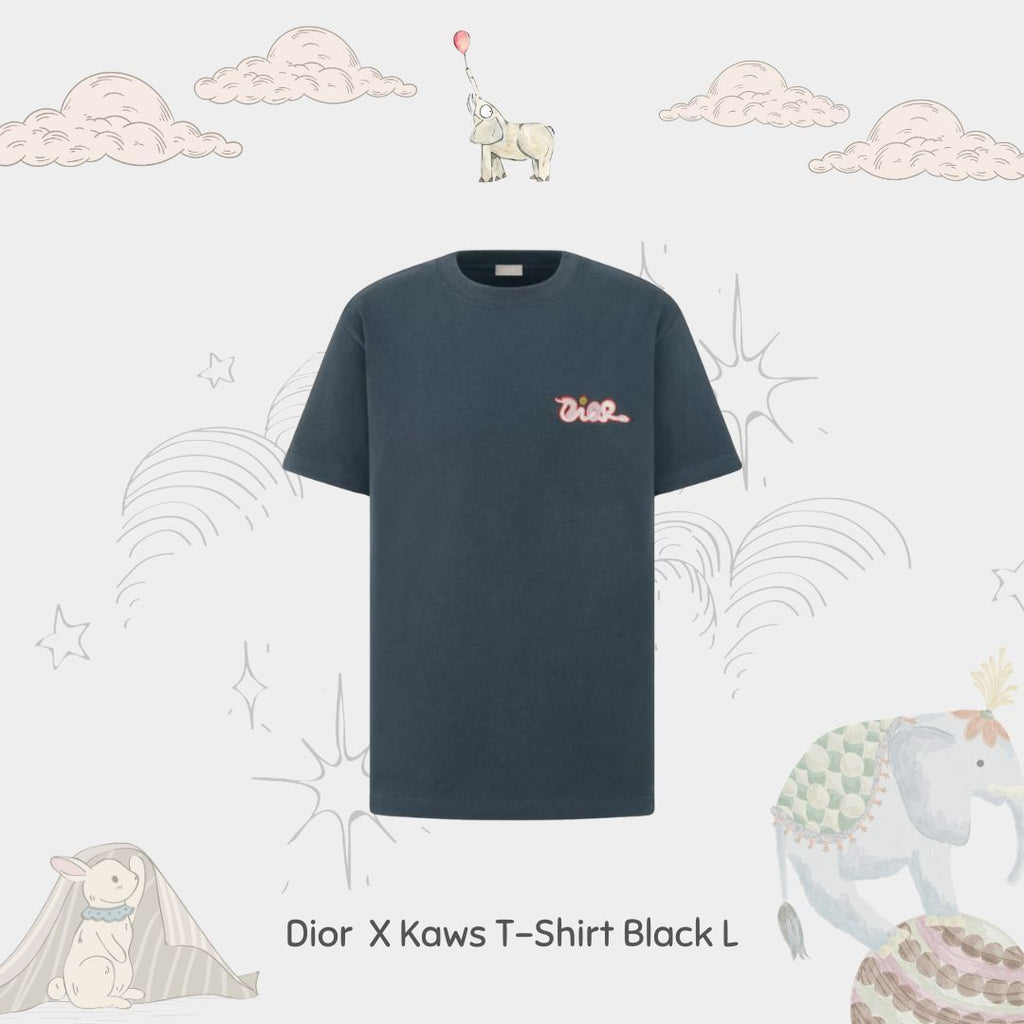 Dior X Kaws Embroidered Black T-Shirt L ( Non Registered)
