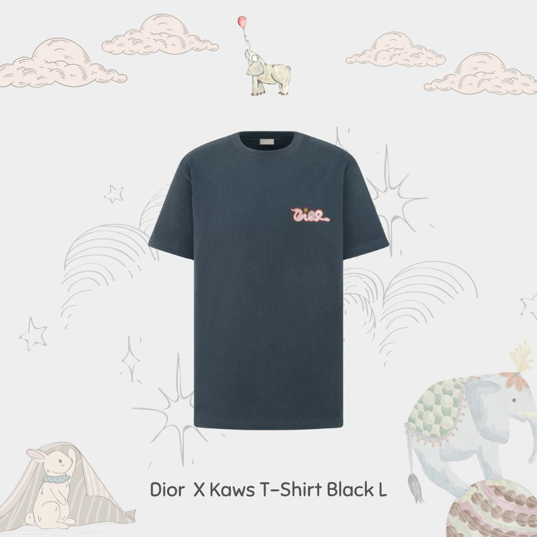 Dior X Kaws Embroidered Black T-Shirt L ( Non Registered)